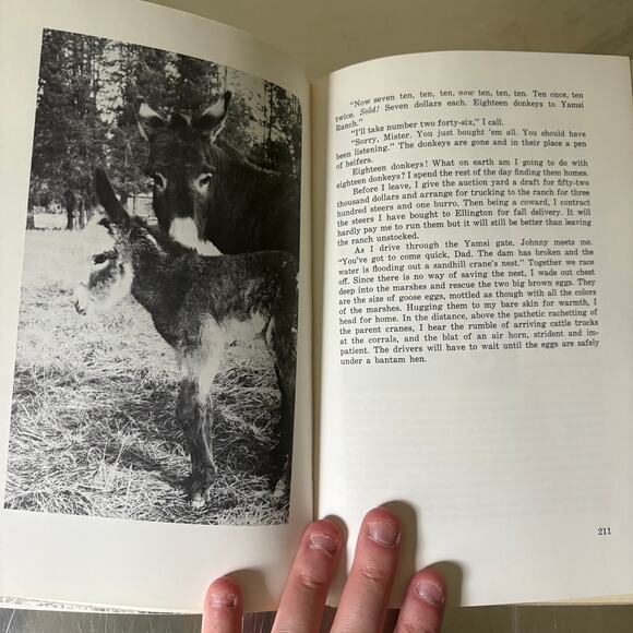 YAMSI by Dayton O. Hyde Vintage Hardcover Nature Ranch Memoir Book Retro Photos - Picture 10 of 10